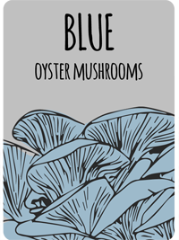 bluemush2
