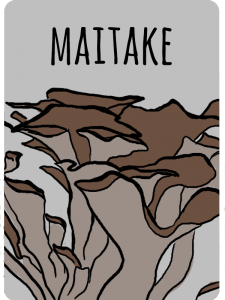 maiatake