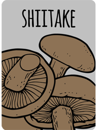 shiitake2