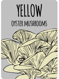 yellowmush2