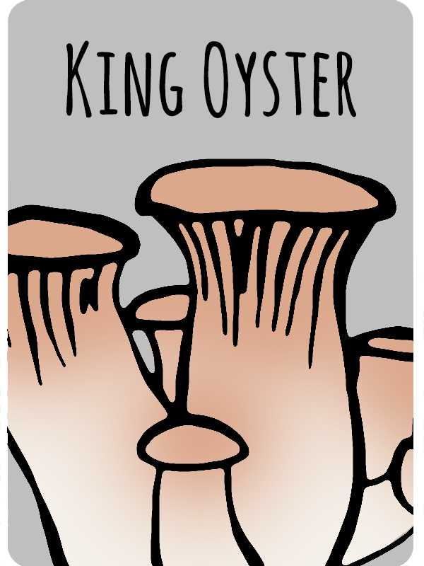 kingoyst