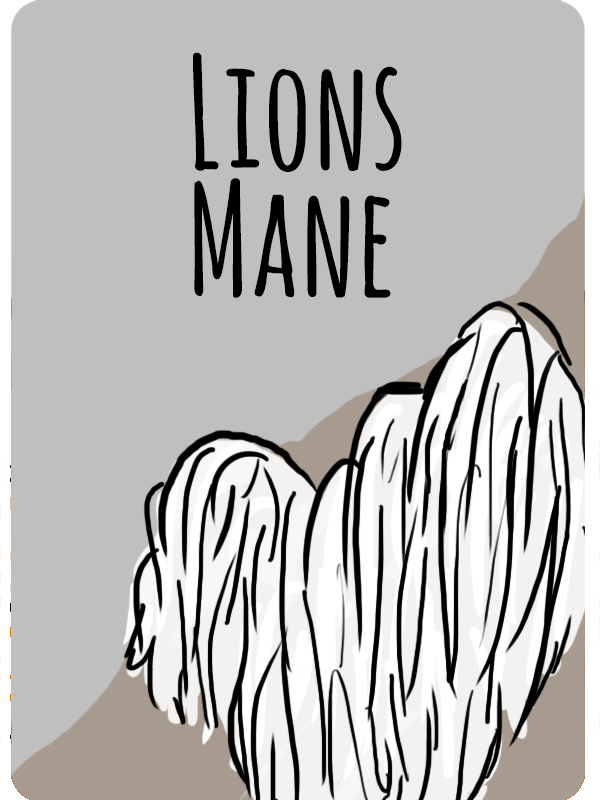 lionmane
