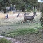 IMG_1796 (1)